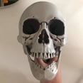 thumbnail image 4 of Modelo de anatomía corporal de Halloween, esqueleto de tamaño completo, hueso de mano, decoraciones para fiesta en casa, 4 of 6