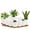 White&Brown, variant on FIASON 9 Pack Plastic 5/5.5/6/6.5/7/8/9/10/12 Inch White with Brown Self Watering Plant Pots,Include Watering Lip,Drainage Holes & Removable Saucer for Indoor Outdoor Use