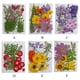 thumbnail image 5 of Advancent Artesanía de flores secas naturales Flores prensadas Ramos en relieve Decoración para tarjetas de boda Pintura de álbum de recortes Flores artificiales Typ 4 Advancent HA010760-04, 5 of 6