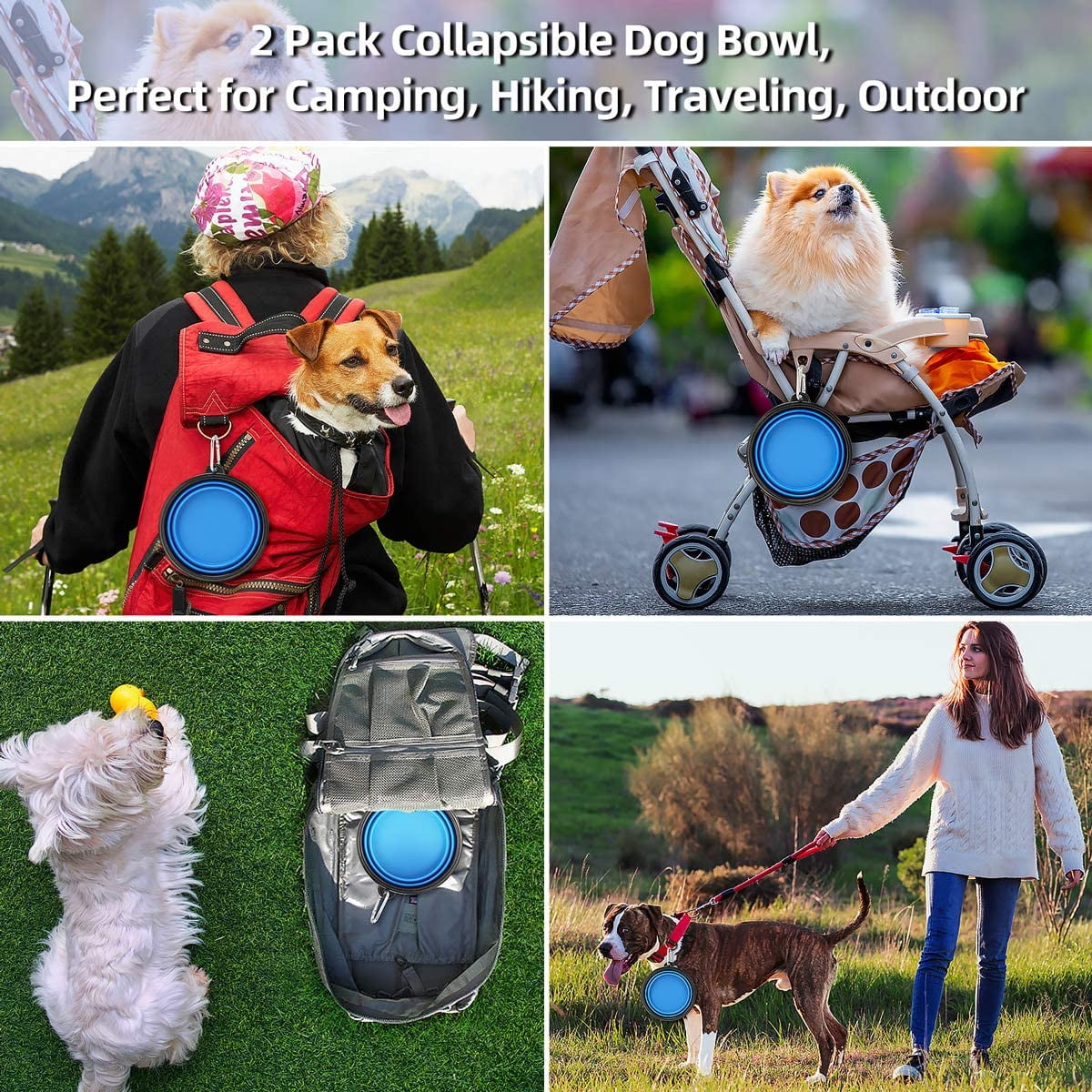 Dog travel food bowls hot sale