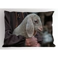 thumbnail image 1 of Farm Animal Pillow Sham, Blurry Backdrop Photo with Sweet Baby Lamb Sitting with Old Farmer Man, Decorative Standard Queen Size Printed Pillowcase, 30" X 20", Coconut Multicolor, by Ambesonne, 1 of 1