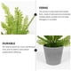 thumbnail image 3 of unbranded 1Ud Planta Artificial De Helecho En Maceta Para Y Reutilizable En, 3 of 6