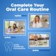 thumbnail image 3 of Pack of 2 x Epic Dental Spearmint Toothpaste - 4.9 oz, 3 of 9