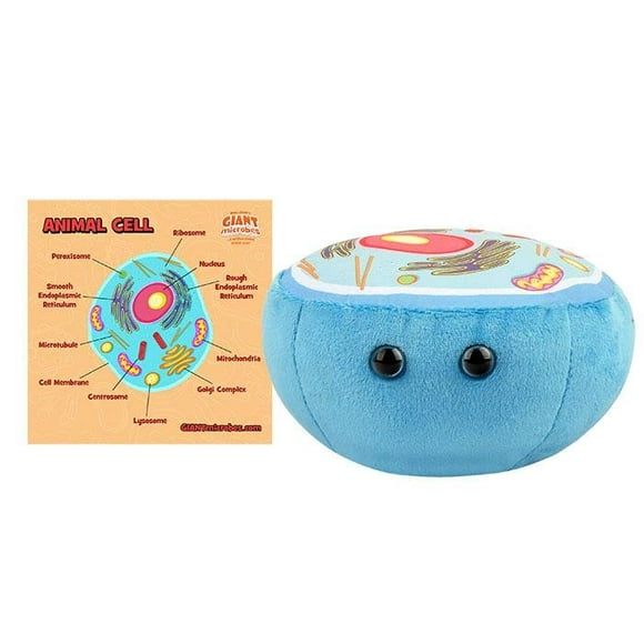 GIANTmicrobes Animal Cell Plush - Learn About Cell Biology and Life Science with This Educational Plush, Memorable Gift for Students, Educators, Scientists, and Anyone with a Healthy Sense of Humor