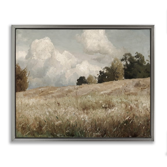 Classic Cloudy Field Landscape Gray Floating Frame Canvas Art, 31 x 25, Made In USA