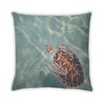 thumbnail image 2 of Ahgly Company Animals Turtle Indoor Throw Pillow, 18 inch by 18 inch, 2 of 6
