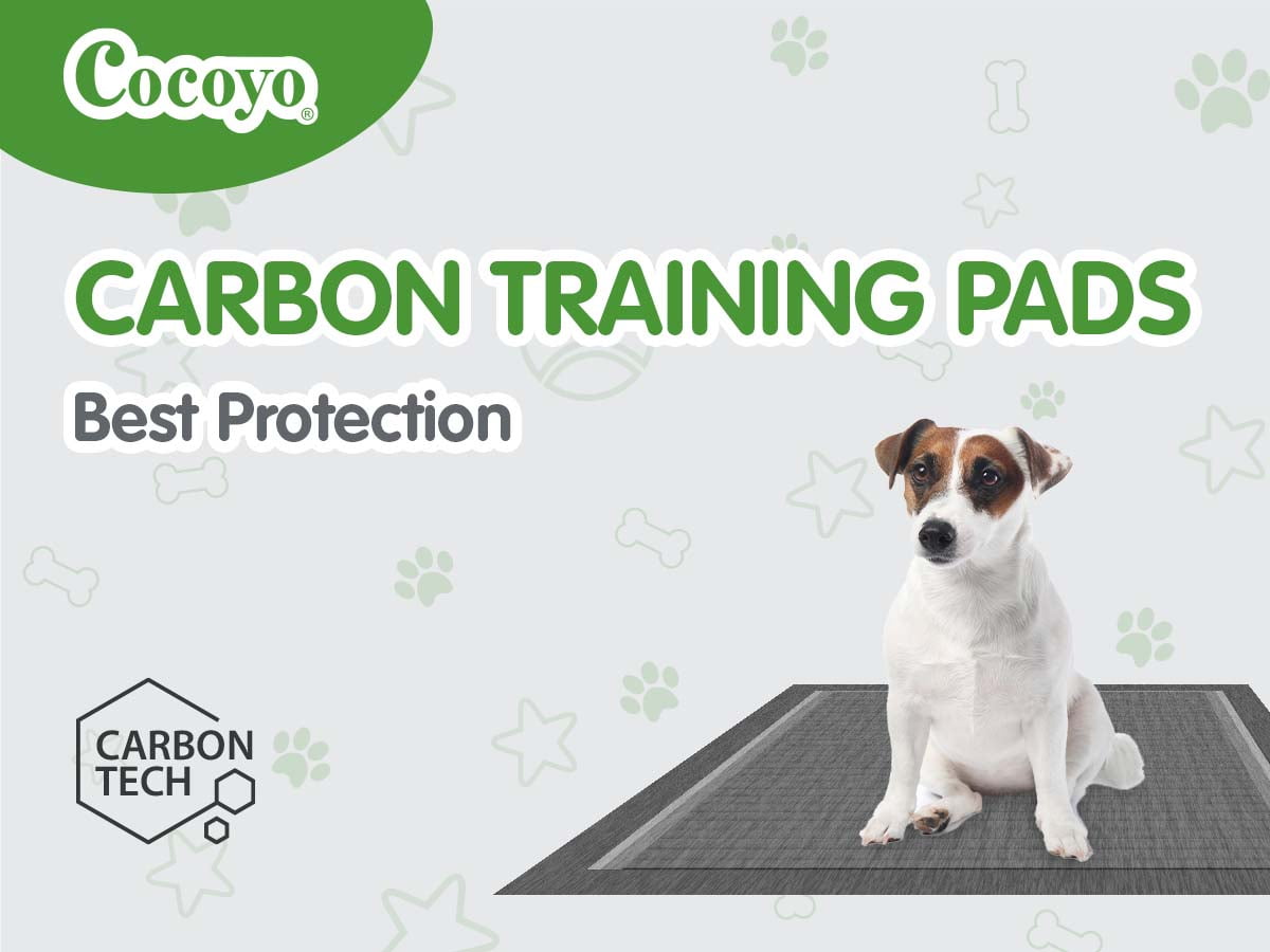 COCOYO Y45 Dog Training Pads Extra Large Size丨Carbon Absorb Eliminating Urine Odor Puppy Pads 丨 Charcoal Dog Pee Pads (30 Count, XXXL 30x45 inch),Black