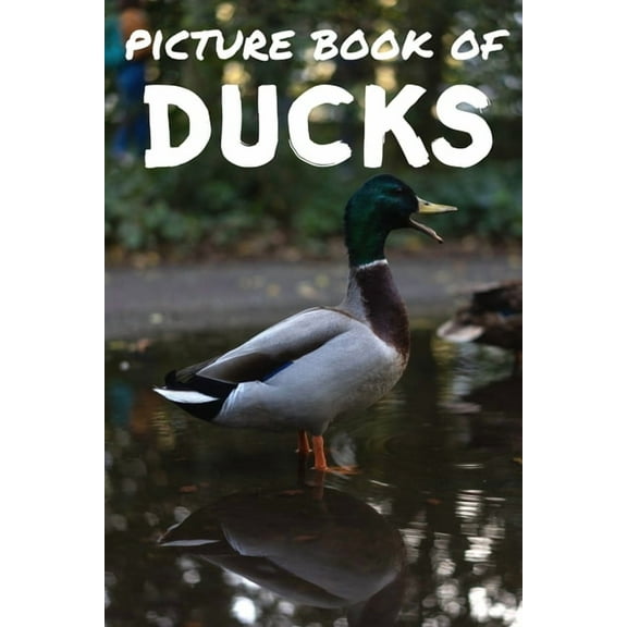 Picture book of ducks: Photos of ducks - Picture book for kids and more - Picture book for seniors with Dementia and Alzheimer -, (Paperback)