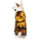thumbnail image 1 of Fotbe Vibrant Sunflower Blooms Sudadera con Estampado para Perros Pequeños – Suéter con Capucha para Mascotas, Tela Suave de Forro Polar con Bolsillo-Medium, 1 of 7