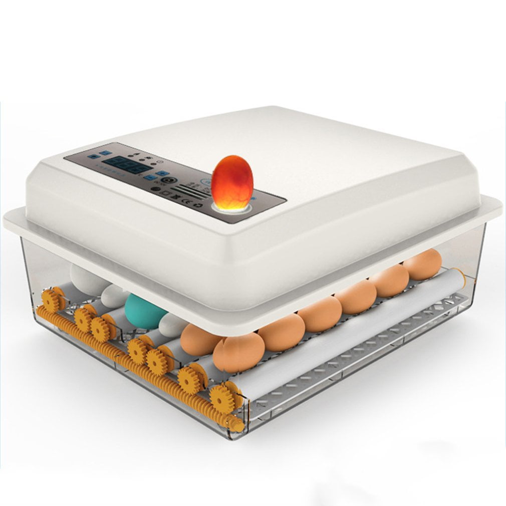 small incubator small incubator