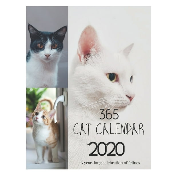 365-cat-calendar-2020-a-2020-year-cat-calendar-cat-365-day-calendar-365-cats-wall-calendar