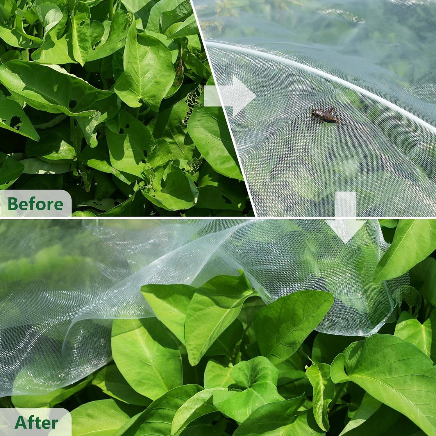 Garden Netting Mesh, Garden Netting Pest Barrier 10x50FT, Ultra Fine Plant Covers Net for Crops Vegetables Fruit Flower Protection, Row Covers Fabric Netting for Outdoor Patio Greenhouse Use