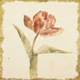 thumbnail image 2 of Blum, Cheri 12x12 White Modern Wood Framed Museum Art Print Titled - Vintage Flaming Parrot Tulip Crop, 2 of 4