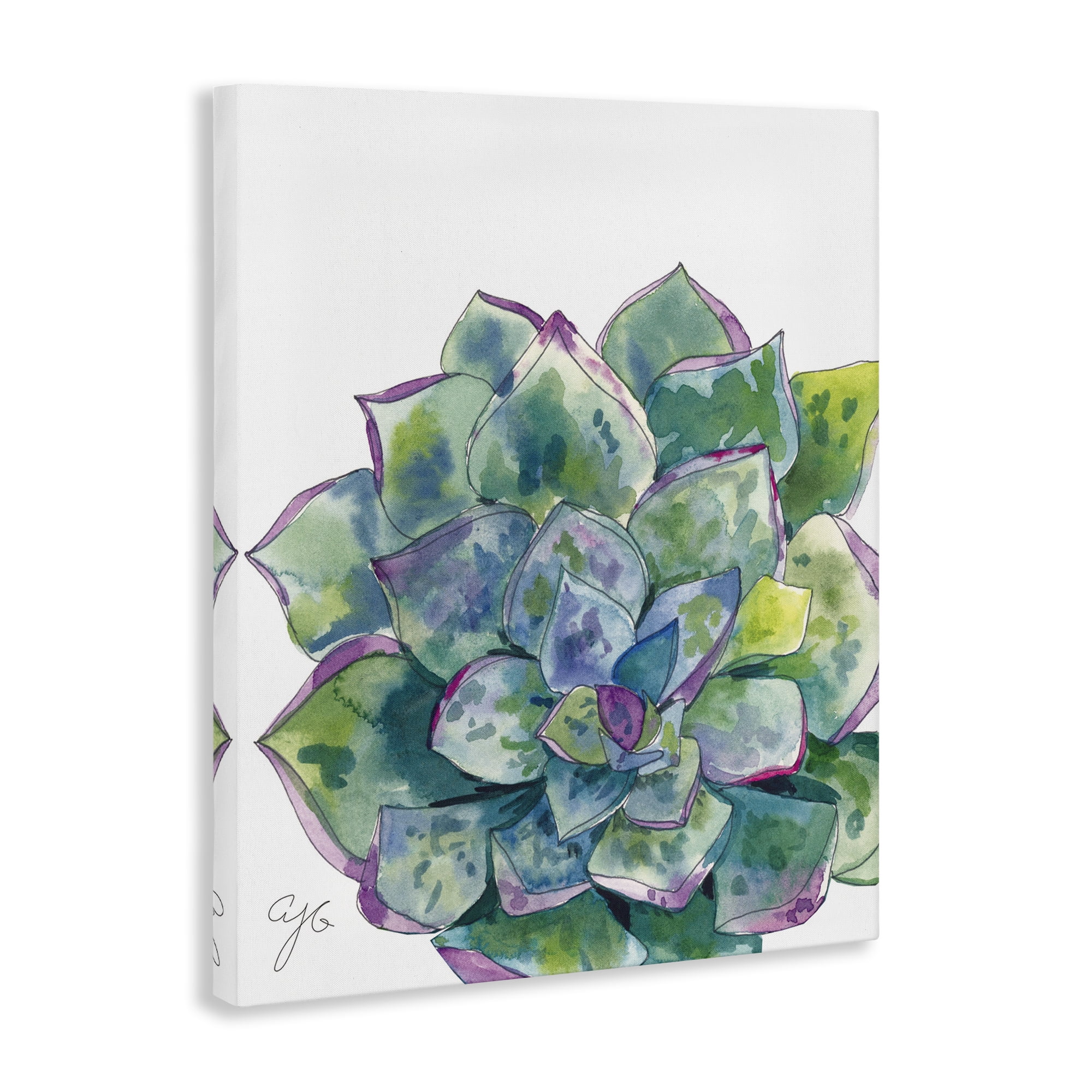 Stupell Industries Abstract Succulent Watercolor Botanical & Floral Painting Gallery Wrapped Canvas Art Print Wall Art, 36 x 48