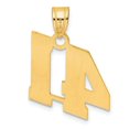 thumbnail image 3 of 14k Yellow Gold Polished Finish Block Script Design Number 41 Charm Pendant, 3 of 4