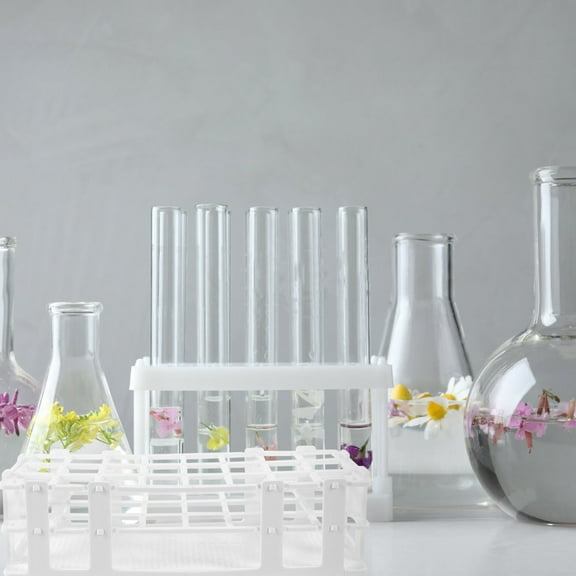 Plastic Test Tube Storage Rack Holder for Home School Laboratory White Color 11 x 4 x 3 Inches