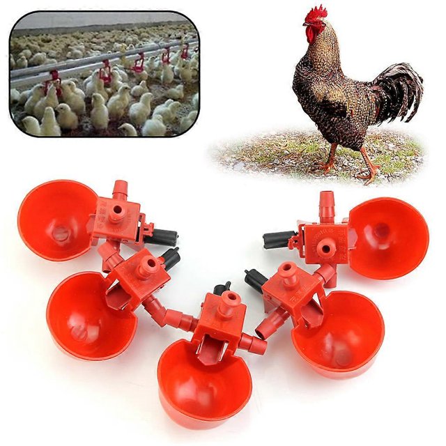 bebederos automáticos para aves de corral, pollos y aves de corral.