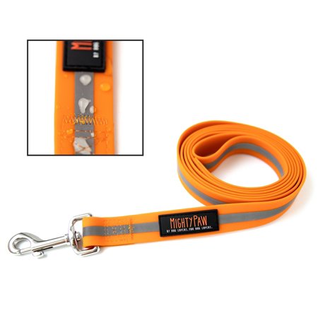UPC: 0736140425532 | Mighty Paw Waterproof Dog Leash 6 Foot Smell Proof Pet Lead Coated Nylon Webbing with Reflective Safety Stripe for Added Visibility Perfect for Swimming Camping Hiking and The Beach