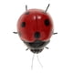 thumbnail image 5 of 5 piezas de simulación de insectos artificiales, juguetes educativos para niños. Mariquita, 5 of 8