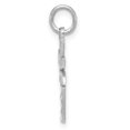 thumbnail image 2 of 14k White Gold Diamond-cut Apple Charm, 2 of 3