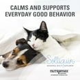 thumbnail image 4 of Solliquin Soft Chews Calming for Small & Medium Dogs & Cats 75ct, 4 of 5