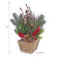 thumbnail image 2 of Christmas Led Pine Pot With Red Berries, 2 of 3