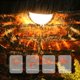 thumbnail image 3 of Luces solares de pared, luces decorativas para vallas, IP65, impermeables, LED para jardín, 3 of 8