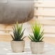 thumbnail image 4 of 2 piezas de plantas suculentas artificiales, decoración paisajística para el hogar, la oficina y el balcón (verde, verde claro)., 4 of 6
