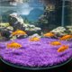 thumbnail image 5 of Tapete de Césped Artificial para Acuario: Sustrato Vegetal Denso y Realista para El Paisajismo de Peceras | Decoración de Césped Acuático Simulado, No Se Desprende, Tapete de Plástico Suave Seguro pa, 5 of 6