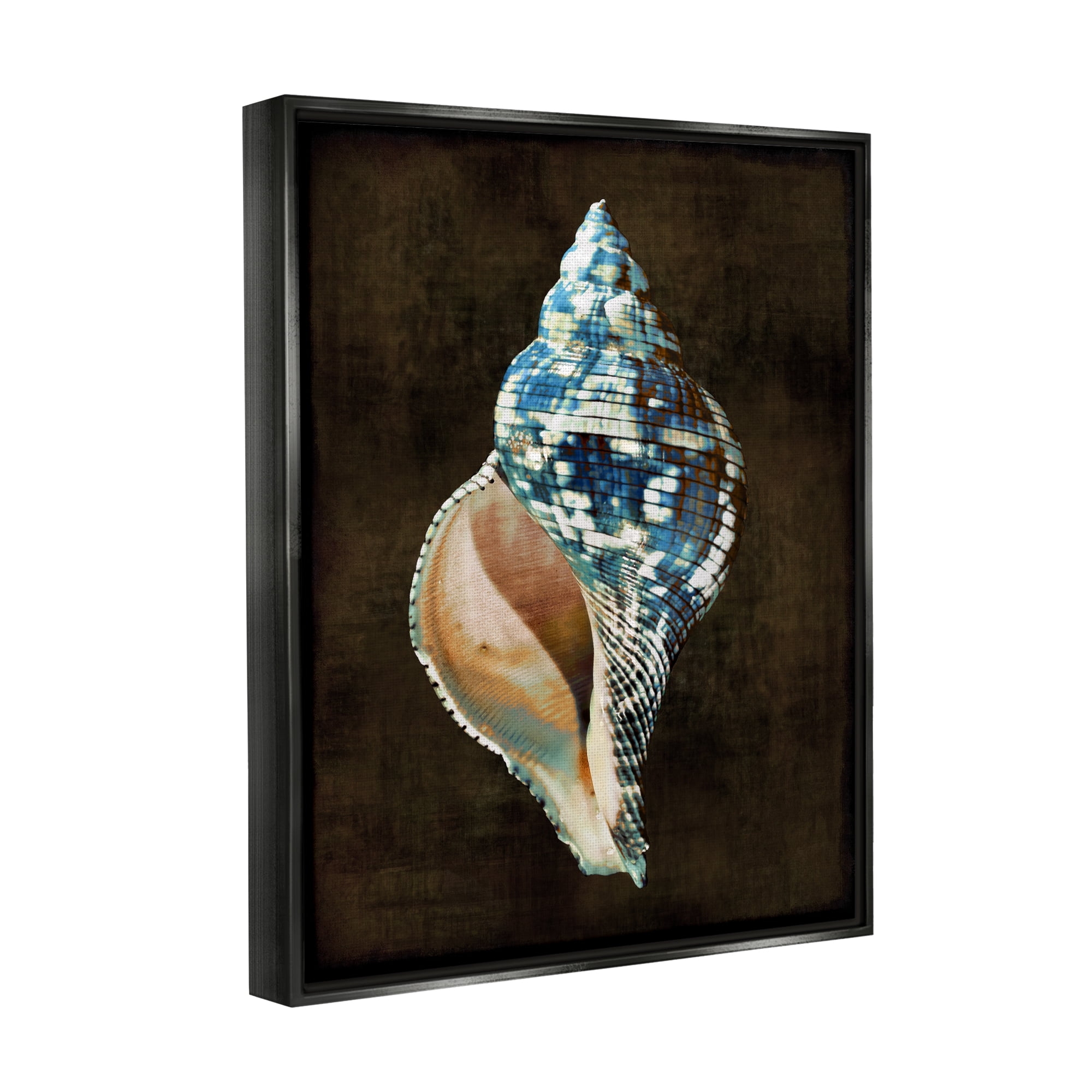 Stupell Industries Dark Patterned Conch Shell Nature Painting Black Floater Framed Canvas Art Print Wall Art, 25 x 31