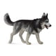 thumbnail image 1 of Figura de juguete de Husky siberiano de CollectA Dogs & Cats, 1 of 3