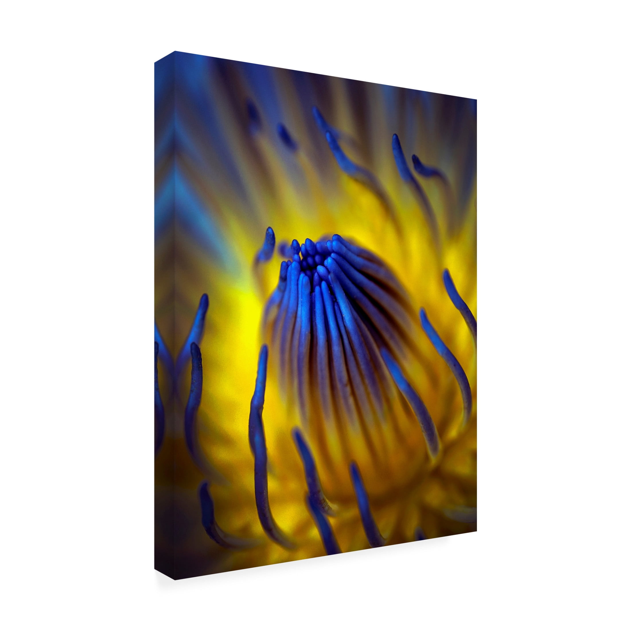 Canvas Wall Art - Antonyus Bunjamin Abe 'Blow Up' Wall Art for Living Room, Bedroom, or Office Décor by Trademark Fine Art - 35 x 47 Inches