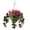 Purple, variant on OakRidge Fully Assembled Fuchsia Hanging Basket, Fuchsia – Polyester, Red, 15" long x 15" Wide x 8" High