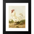 thumbnail image 2 of Harrison Weir 12x14 Black Modern Framed Museum Art Print Titled - White Dorking (1867), 2 of 5