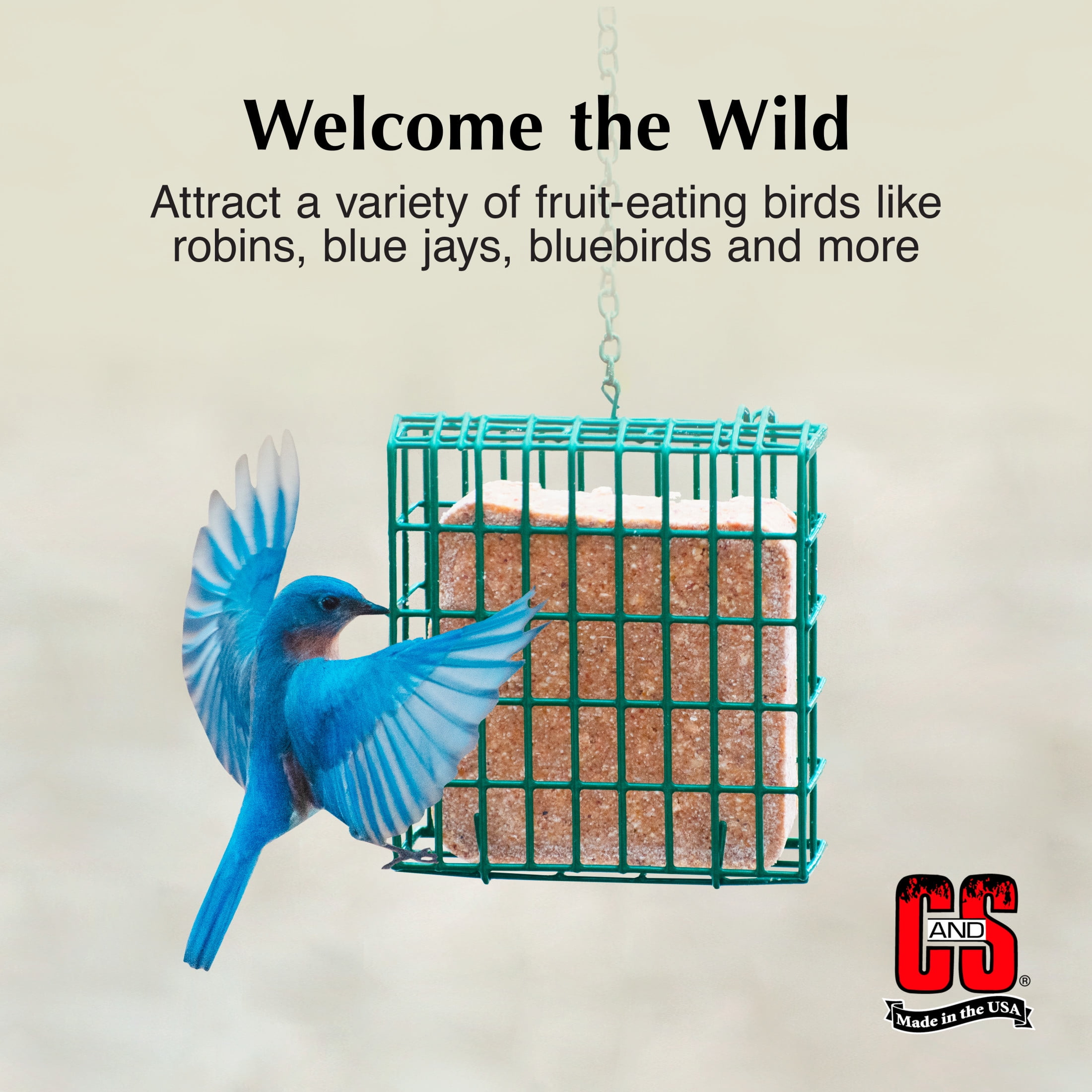 (4 pack) C&S Berry Suet Treat, for Wild Birds, 11.75 Ounces