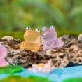 thumbnail image 6 of 5Pcs Frog Ornaments Vivid Image Resin Miniature Landscape Ornament Colorful Glow-in-the-Dark Frog Home Supplies, 6 of 6