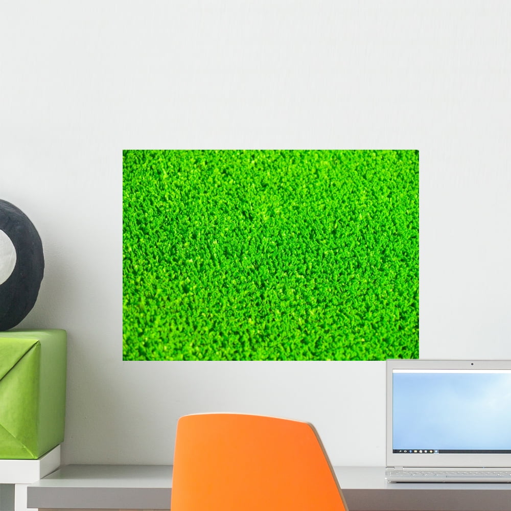Artificial Grass Wall Mural by Wallmonkeys Peel and Stick Graphic (18