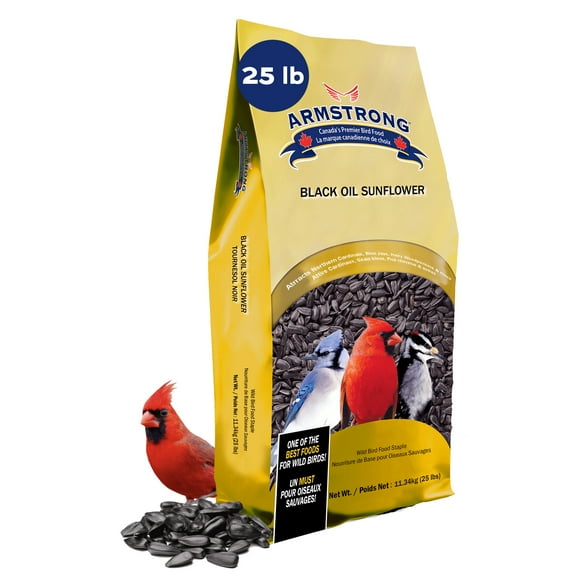 Armstrong Wild Bird Food Black Oil Sunflower Bird Seed, 25 Pounds - for Northern Cardinals, Blue Jays, Hairy Woodpeckers and Goldfinches - Ideal for Outside Feeders