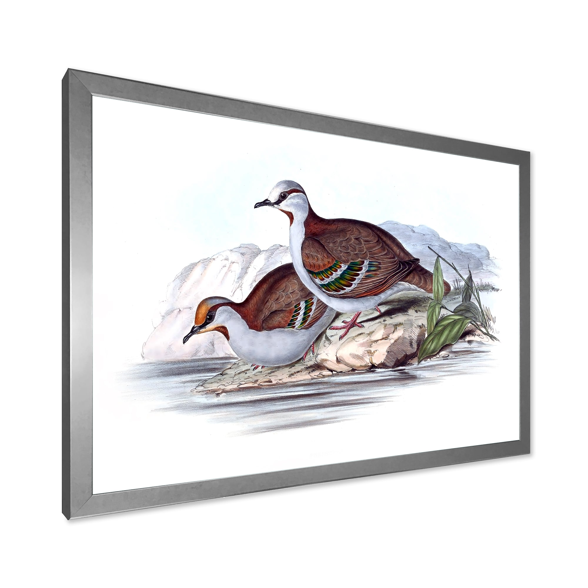 Designart 'Ancient Australian Birds IX' Traditional Framed Art Print