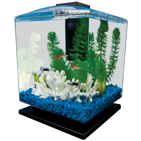 Tetra 1.5-Gallon Cube Aquarium Starter Kit (Best Pet Fish For Small Tanks)