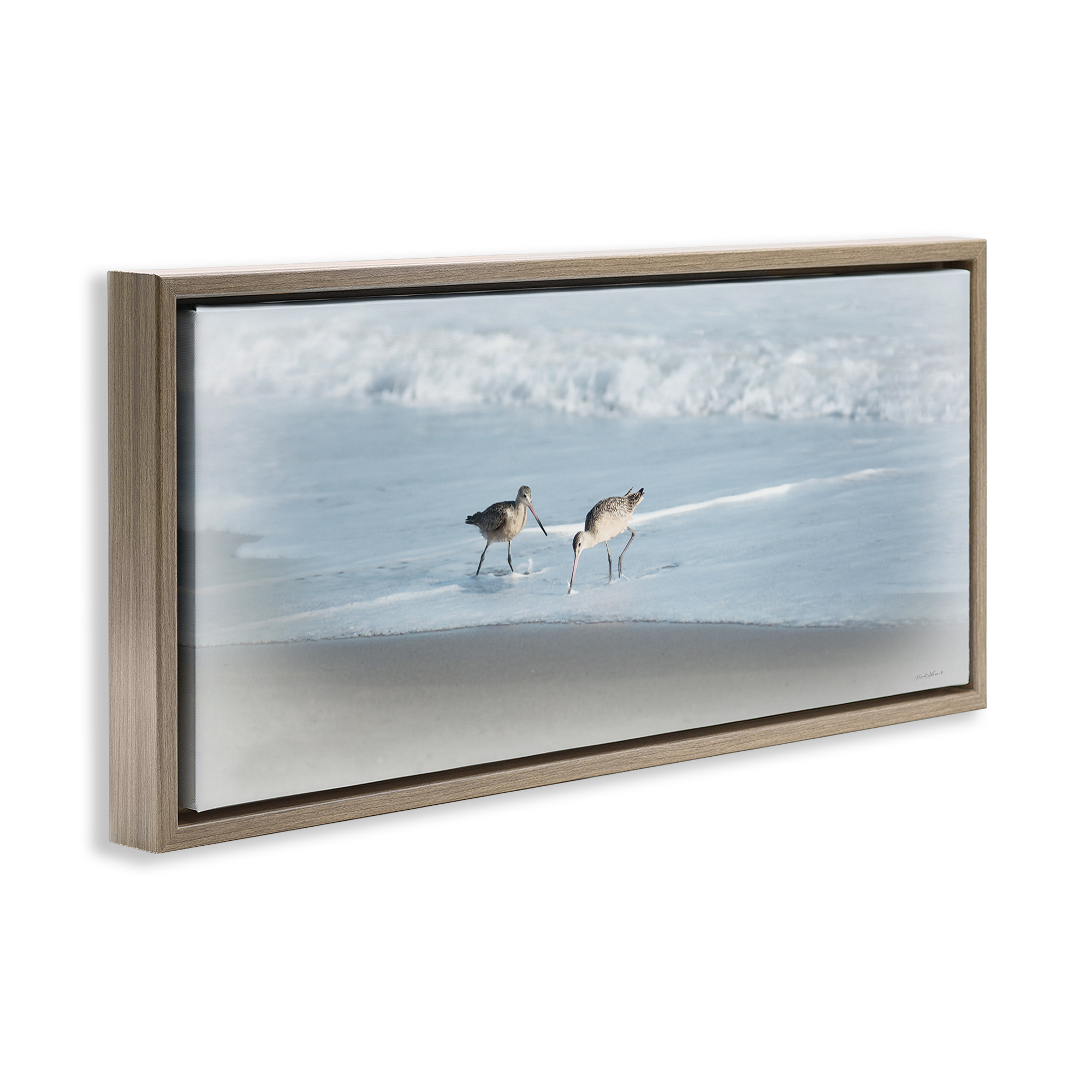 Stupell Industries Sandpiper Pair on Shore Nautical & Beach Painting Brown Floater Framed Canvas Art Print Wall Art, 25 x 11