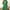 Green_3, variant on Elvqul Womens Nightgowns Clearance Sleepwear for Women Short Short Sleeve Oversized Blue Nightgowns