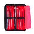 thumbnail image 1 of EeaseCA 1 Set Dental Hygiene Kit Teeth Whitening Tools Calculus Plaque Remover Set Clean Teeth Kit Stainless Steel with Lamp Without Battery (Silver), 1 of 7