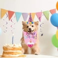 thumbnail image 4 of Dog Birthday Bandana Scarf And Dog Girl Boy Birthday Party Hat With Cute Dog Bow Tie For Small Dog Pet, 4 of 4