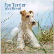 Fox Terrier Wirerhaired Calendar 2022 - Fox Terrier Dog Breed Calendar - Fox Terriers Premium Wall Calendar 2022