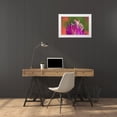 thumbnail image 3 of Flaherty, Dennis 32x23 White Modern Wood Framed Museum Art Print Titled - Borneo Close-up of Cinnamon Ttree Frog, 3 of 4