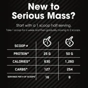 Optimum Nutrition Serious Mass Protein Powder, Strawberry, 50g Protein, 6 Lb