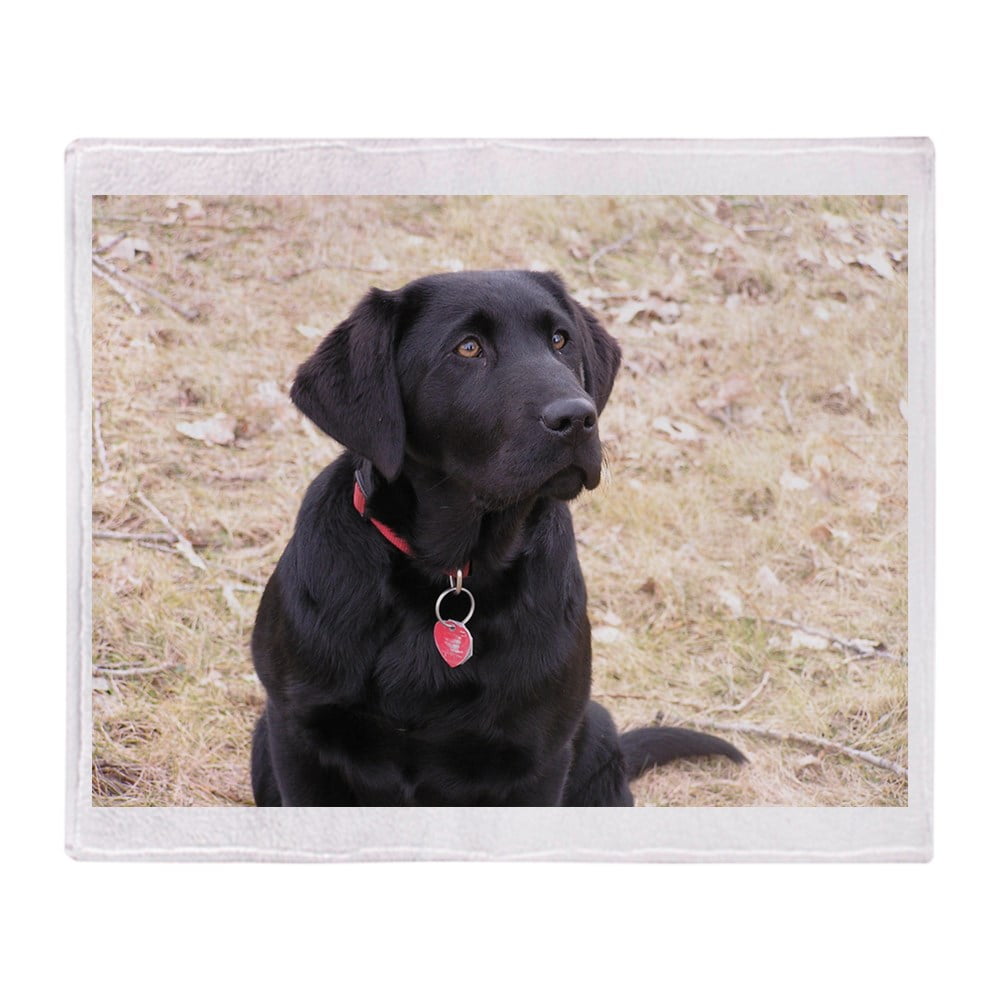 CafePress Black Lab Throw Blanket Soft Fleece Throw Blanket, 50"x60
