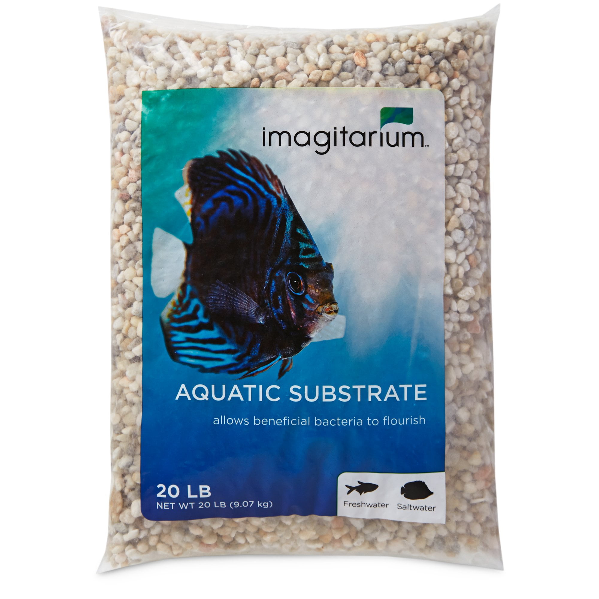 bird swing with mirror