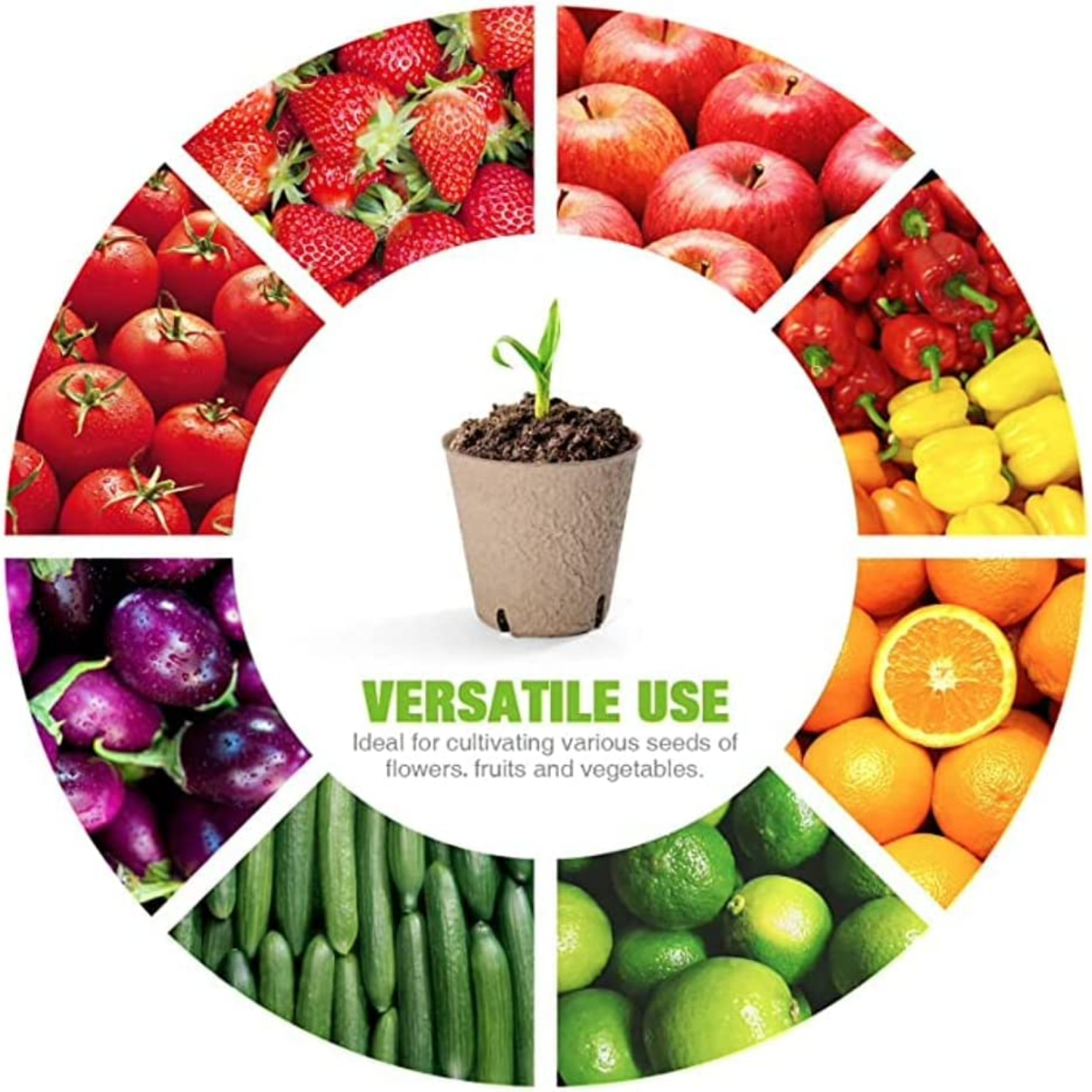Seed Starter Pots 144pcs Biodegradable Planter Pot for Germination Seedling Starting Seeds Nursery Peat Pots for Indoor & Outdoor Gardening Cup Tools Eco-Friendly 12pcs Packs Set of 12 Total 144